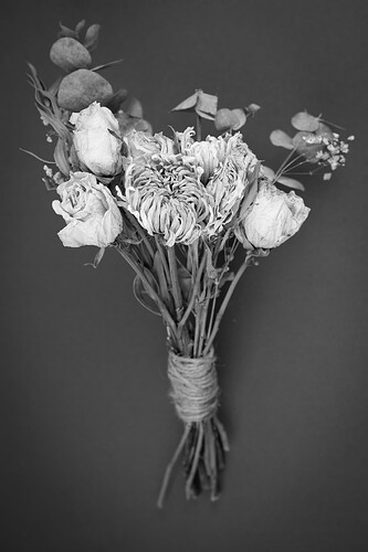 dried flower-5