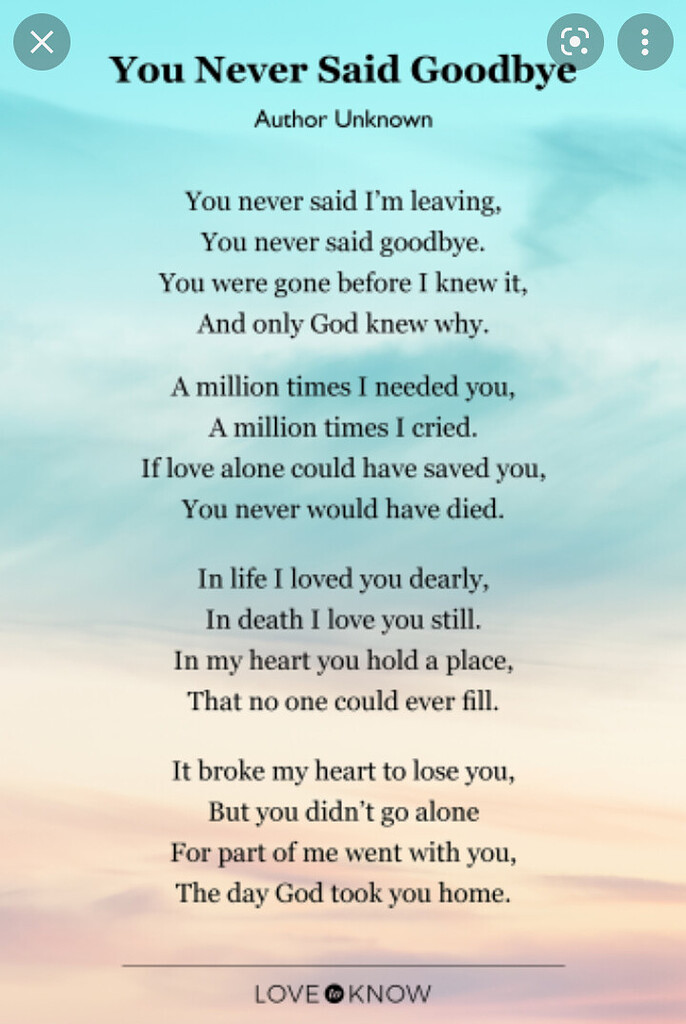 You Never said Goodbye - Losing a partner - Sue Ryder Online ...