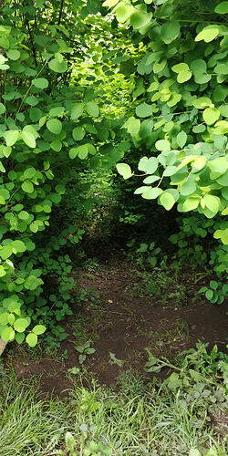 IMG_20260420_112929