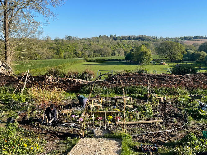 grief garden